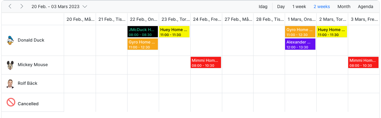 Home Care Planning Schedule