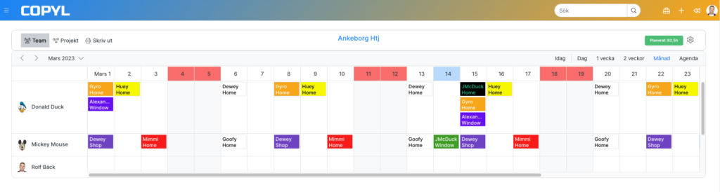 Scheduler overview on Copyl Workforce Planning